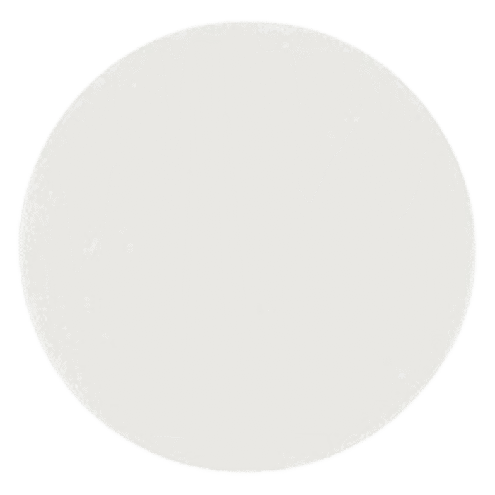 Pza 19" Disco Scotch Brite Bonnet Alfombras-3M